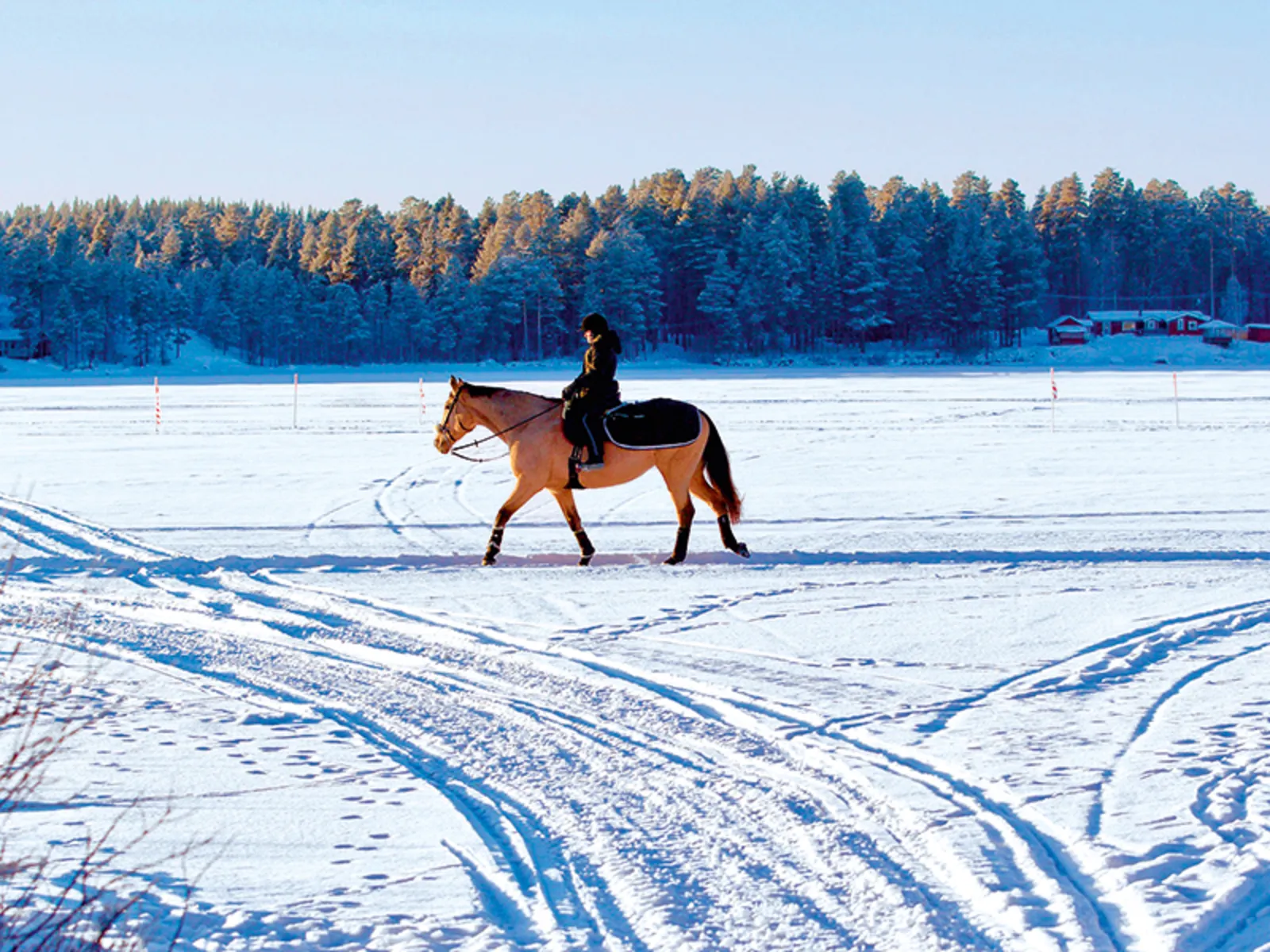 Balade à cheval en hiver