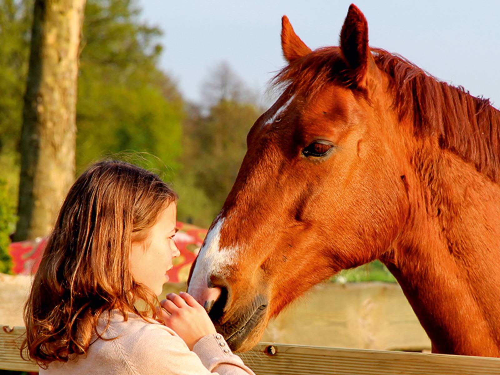 Der Verein Glücksmomente