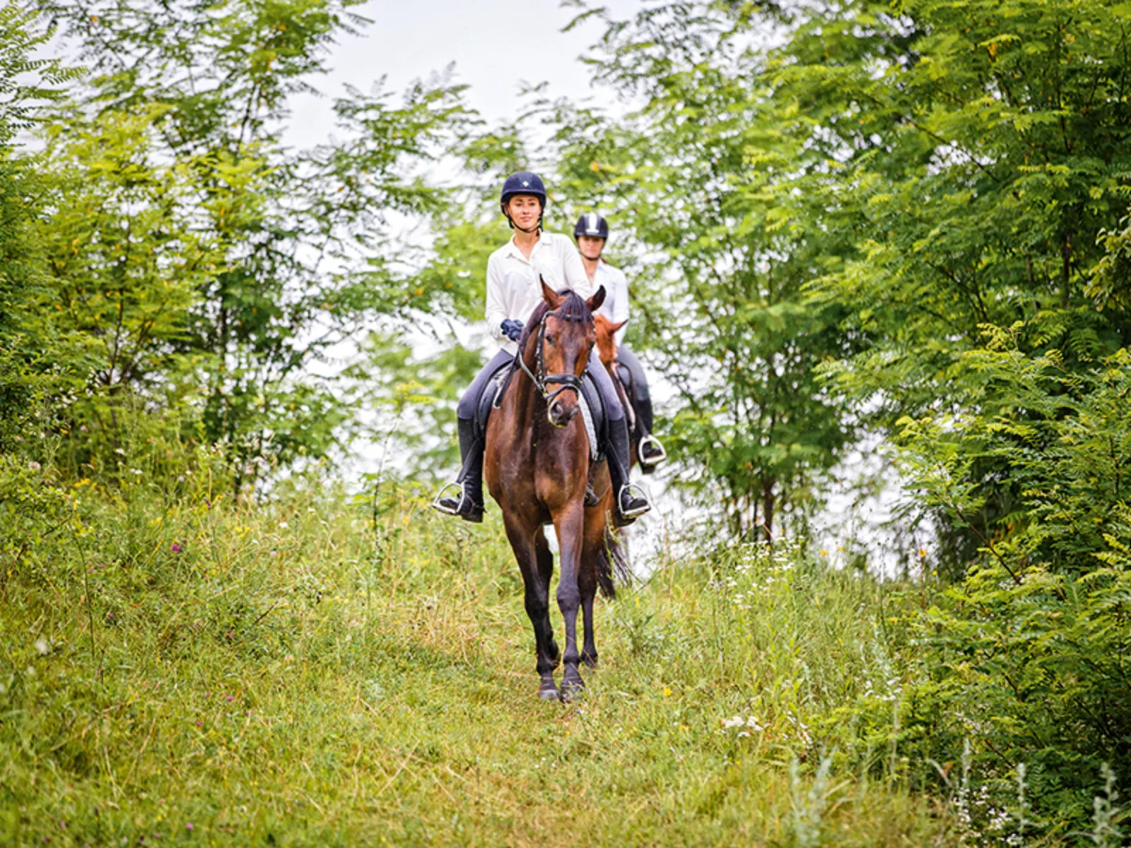 Randonnée à cheval dans la nature