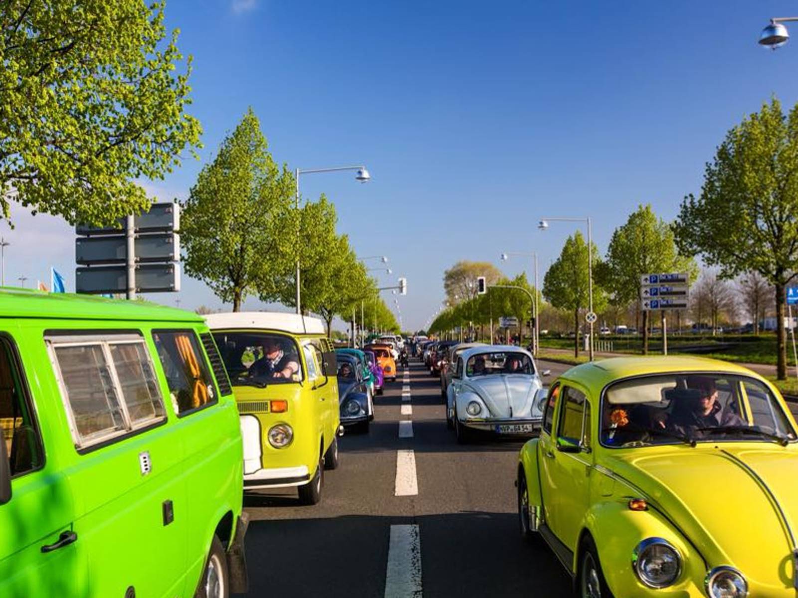 Bunte VW Käfer und Bullis beim Maikäfertreffen in Hannover fahren in Parade durch eine von Bäumen gesäumte Straße.