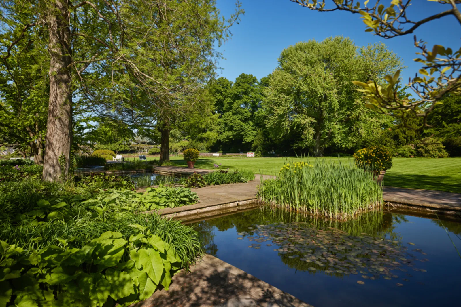Stadtpark am HCC