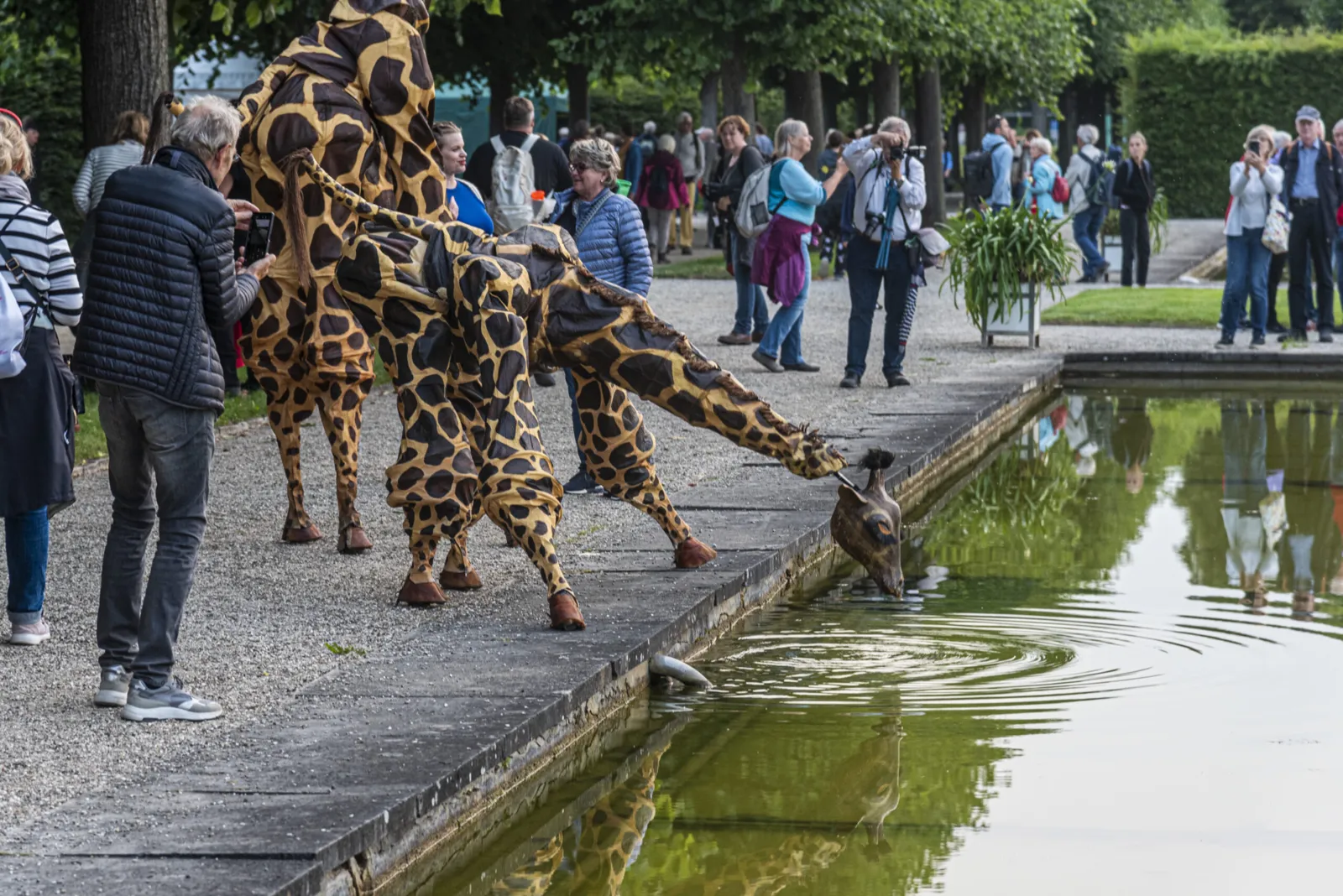 Teatro Pavana_Giraffe beim kleinen Fest in den Herrenhäuser Gärten