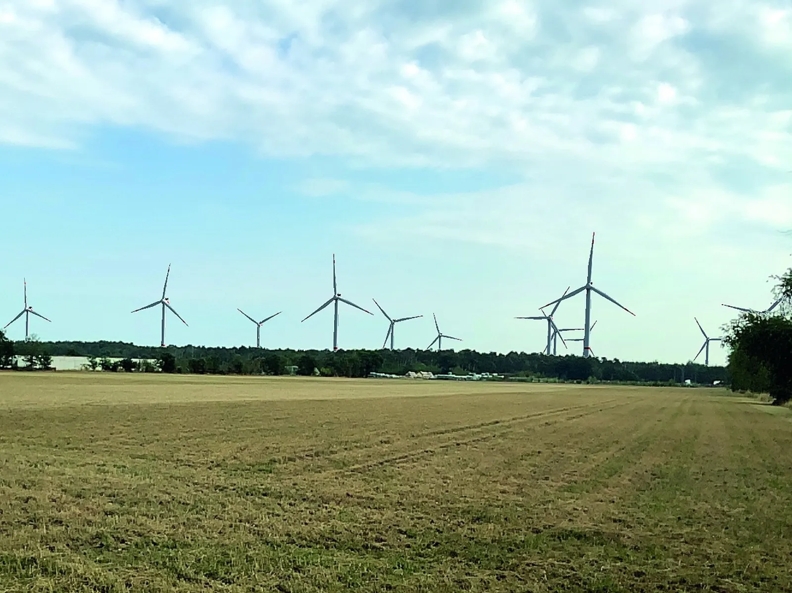 Windräder in einer Wald- und Wiesenlandschaft