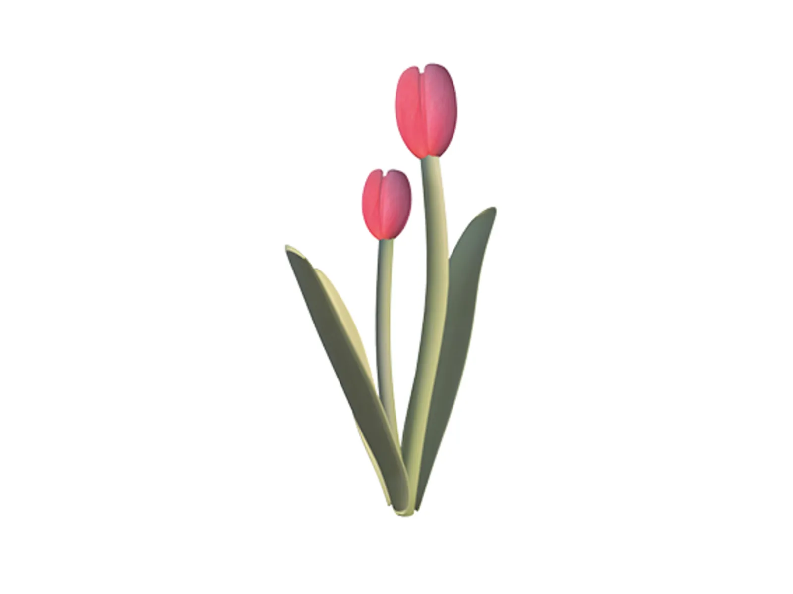 Flower Rain