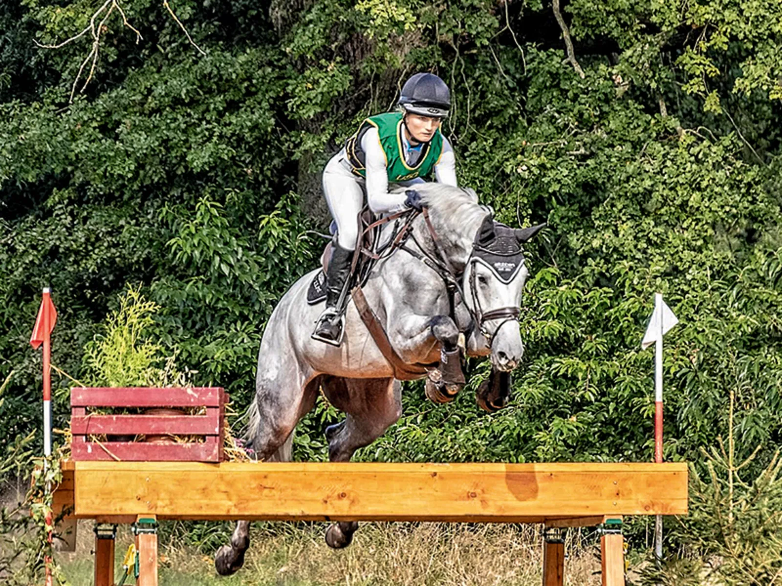 Springridning i Langenhagen