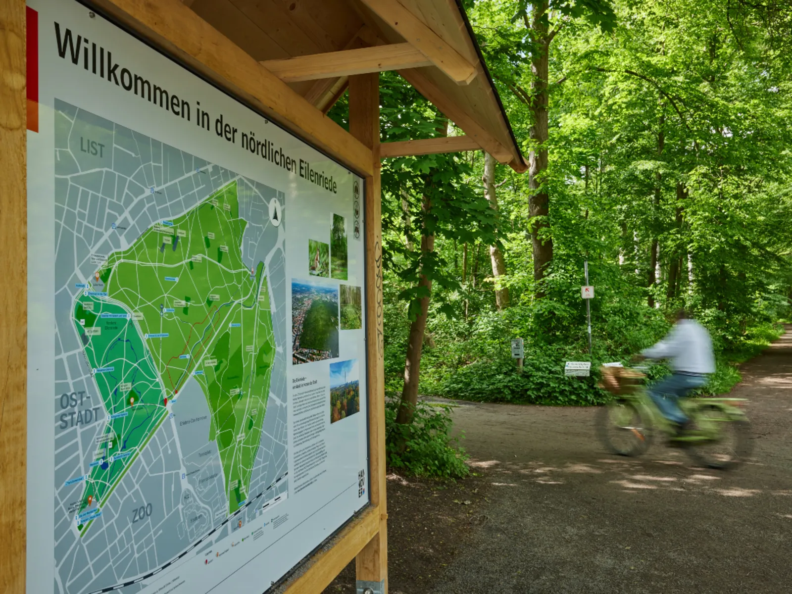Fahrradfahren in der Eilenriede