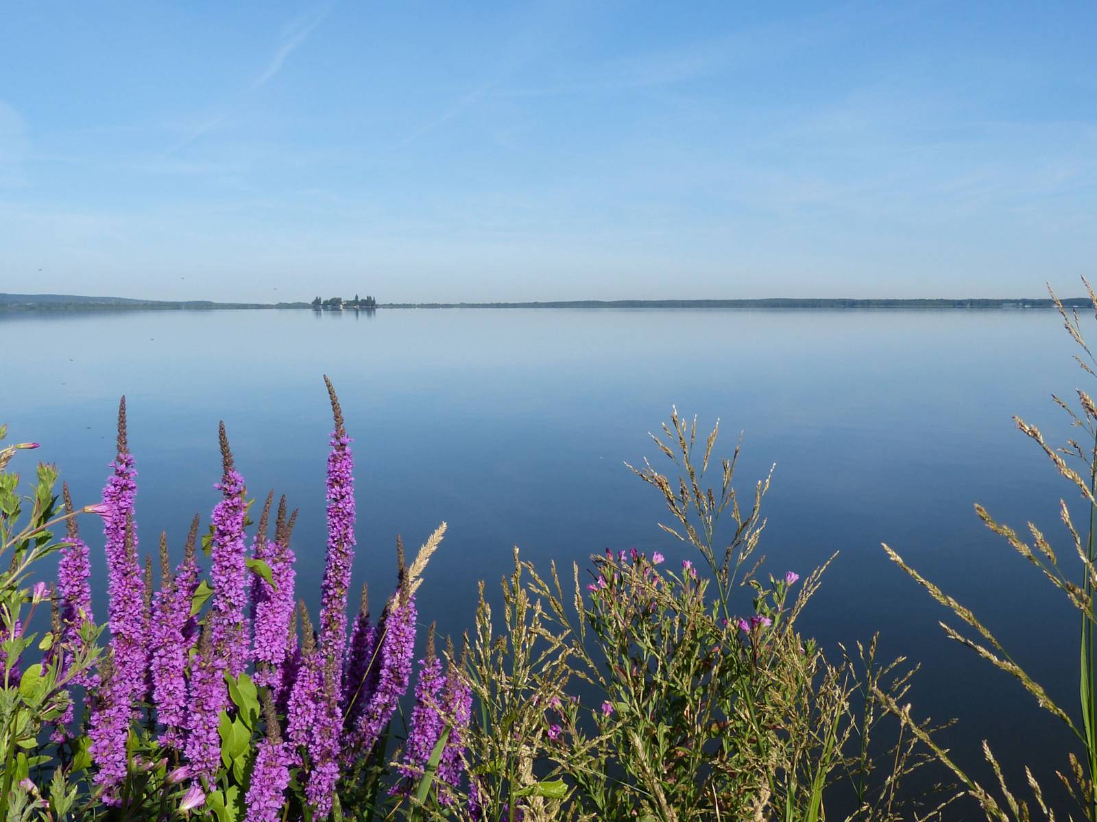 Steinhuder Meer