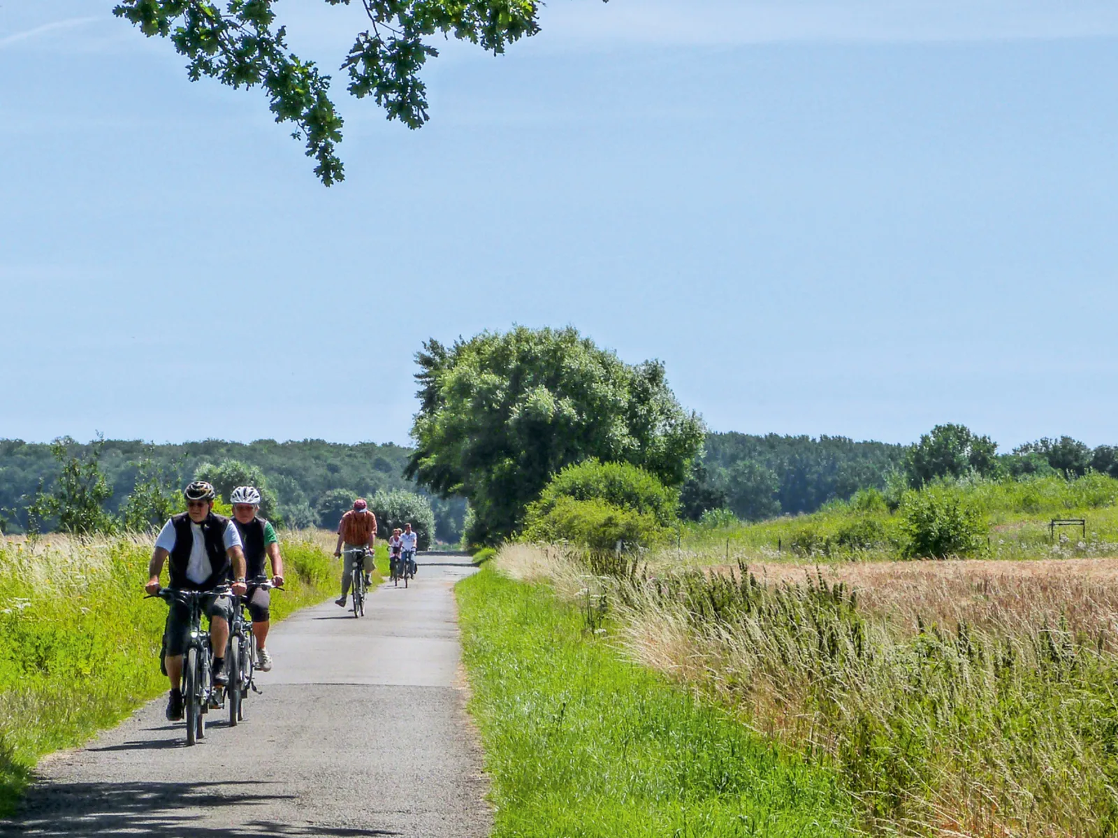 Des cyclistes roulent sur un chemin de campagne