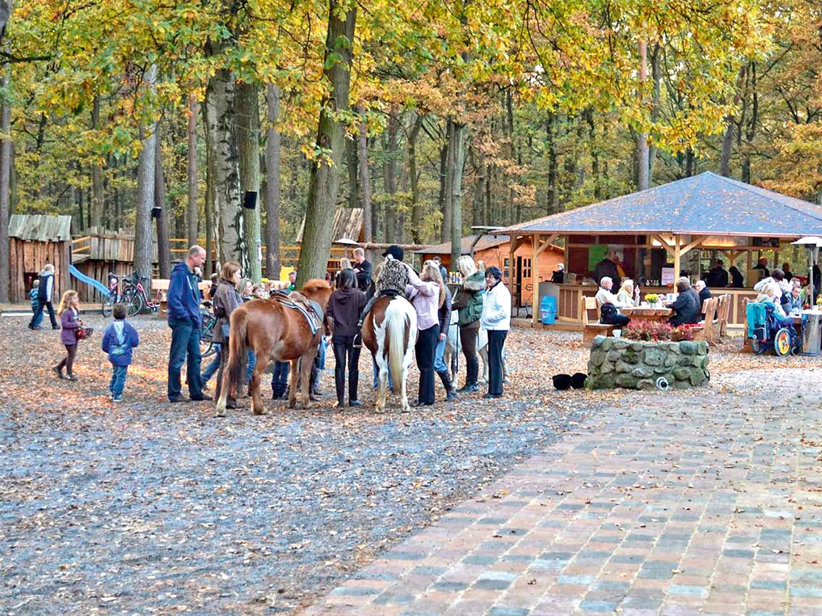 Randonnée équestre « Waldkater »