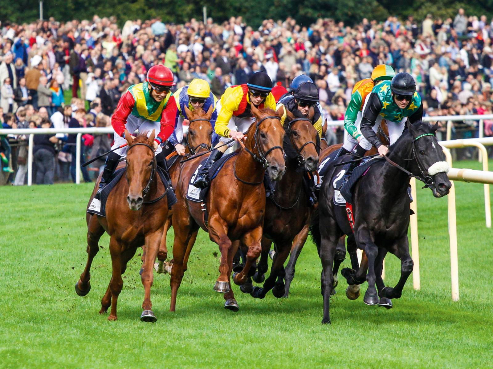 Galopprennbahn Neue Bult