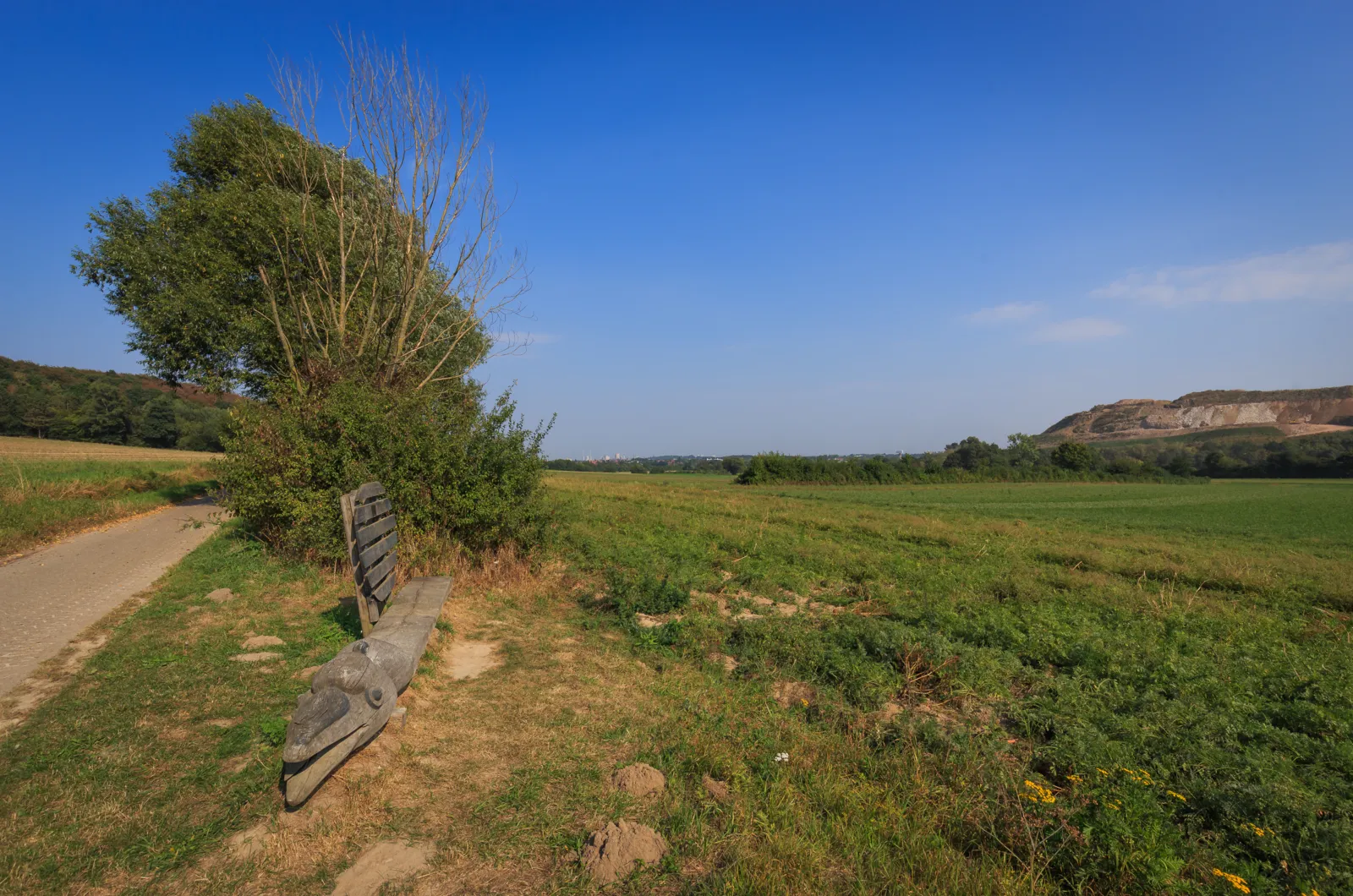 Hiking Tour on Benther Berg