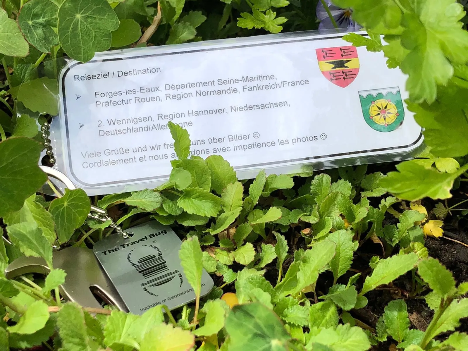 "Travel Bug": Dieser „Schatz“ geht mit den Geocachern auf die Reise in die Wennigser Partnerstadt „Forges-les-Eaux“ in Frankreich