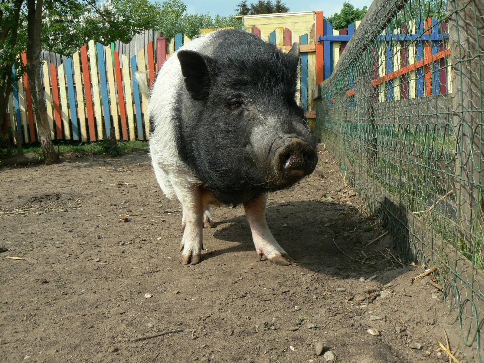 Stadtteilbauernhof Sahlkamp