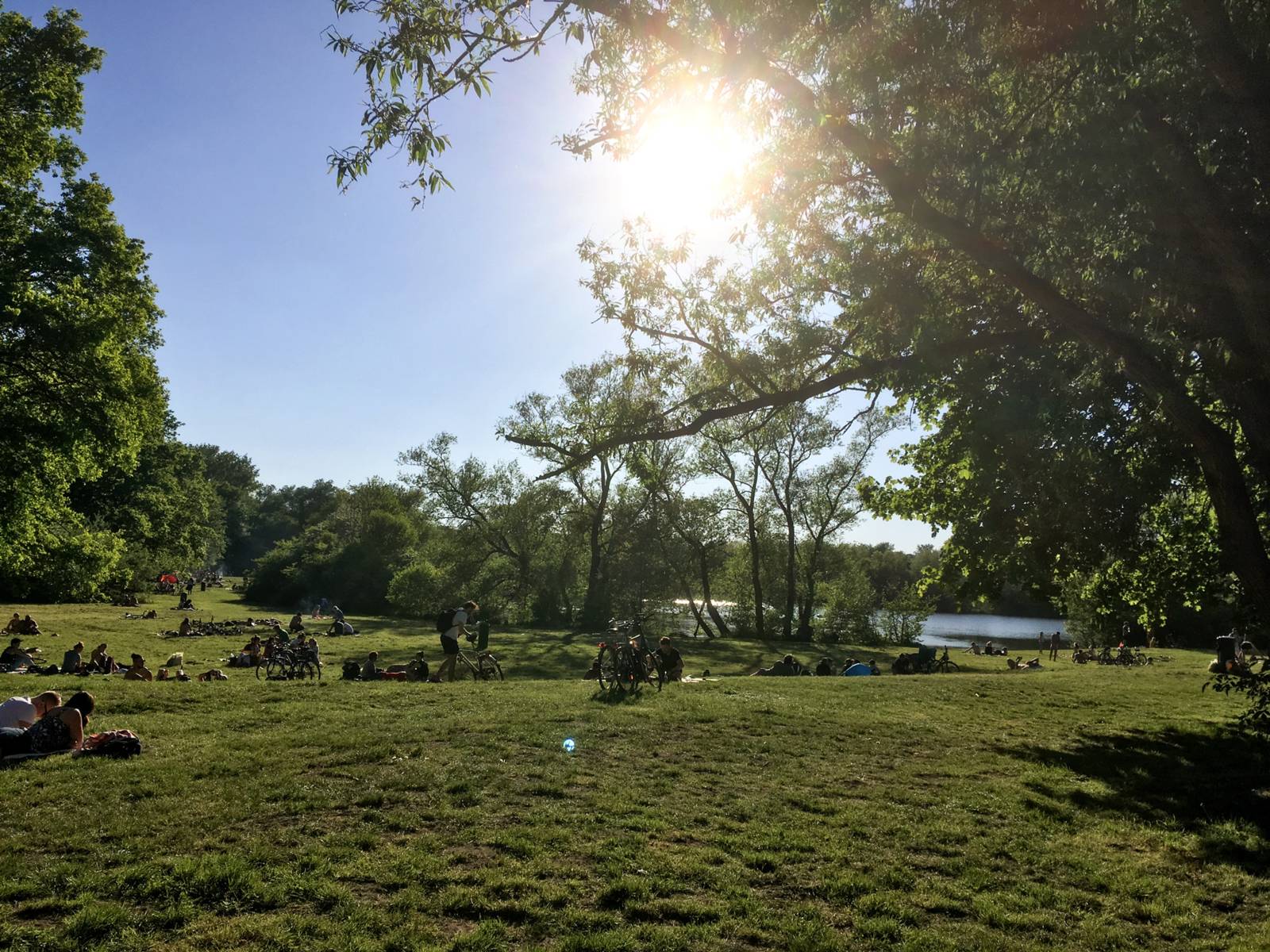 Menschen liegen auf einer grünen Wiese an einem See.