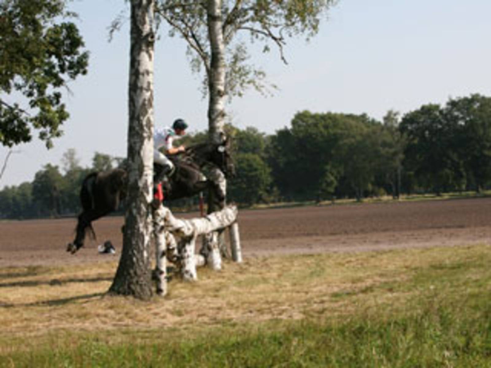 hof muenkel
