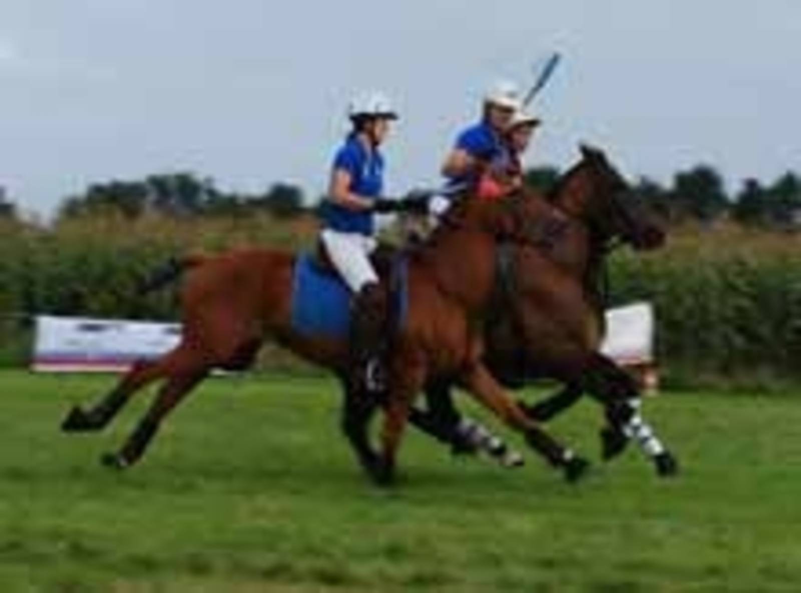 Polocrosse Spieler