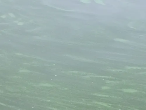 Schlieren auf dem Wasser: Was ist das?