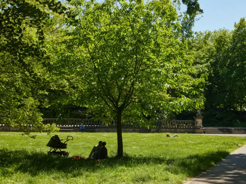 Picnic i parken