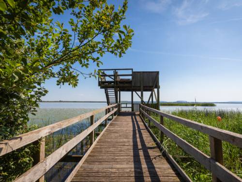 Erlebnisweg Totes Moor