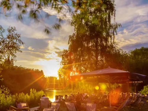 Życie na plaży
