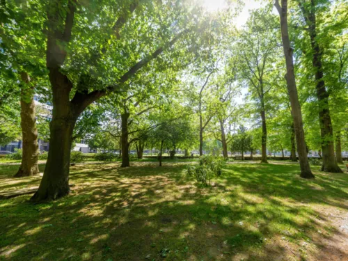 Neustadt-kirkegården