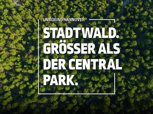 Eilenriede – większe niż Central Park
