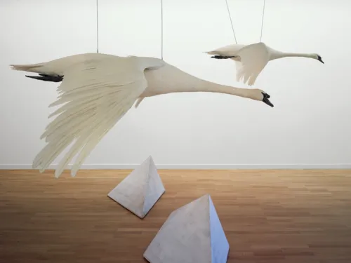 Zu sehen ist eine Kunstinstallation von Christiane Möbus: Zwei Schwanenfiguren sind an der Decke befestigt und es sieht so aus, als ob die Beton-Pyramiden fliegen würden.