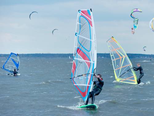 Vindsurfing på Steinhuder Meer