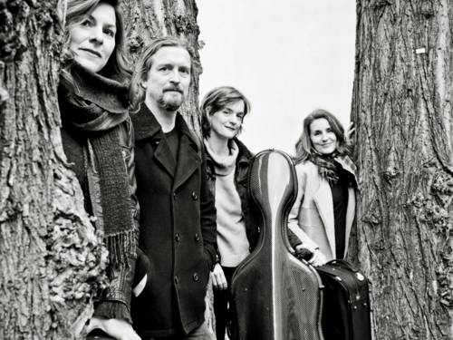 Musiker*innen mit Bäumen