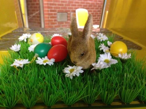 Osterhase, Ostereier auf künstlichem Rasen mit künstlichen weissen Margariten