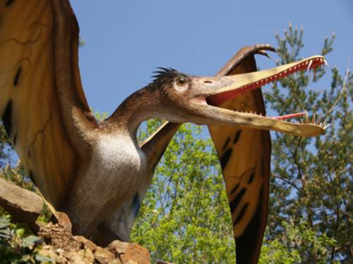 Ein Flugdinosaurier sitzt auf einem Baum oder Felsen und breitet seine Flügel aus.