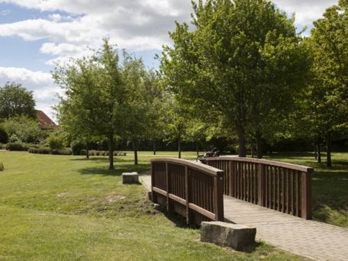 Pont en bois dans le parc