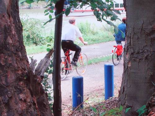 Blick zwischen zwei Bäumen hindurch auf zwei blaue Pfähle und zwei Radfahrer