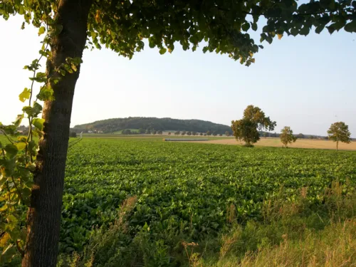 Calenberger Landtour