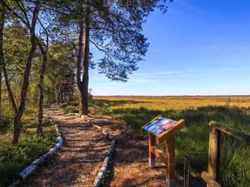  Bissendorfer Moor in der Wedemark