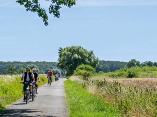 Fahrradfahrer radeln Feldweg entlang