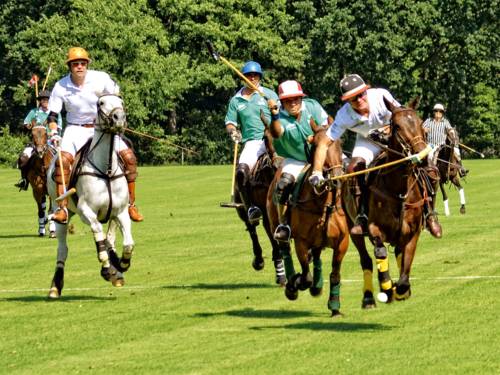 Niedersächsischer Poloclub e.V.