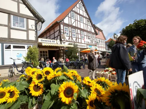 Springe city center