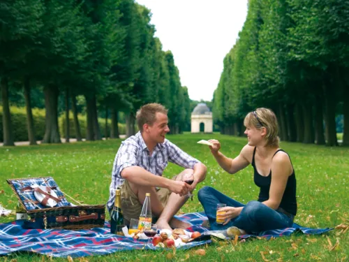 Stor havepicnic