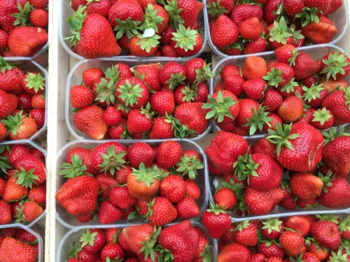 des fraises.