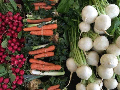 Radieschen, Suppengrün und Rettich.