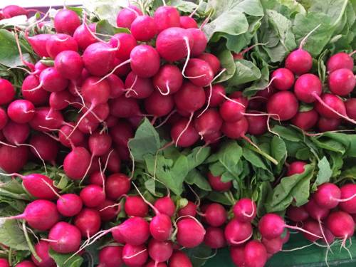 Radieschen.