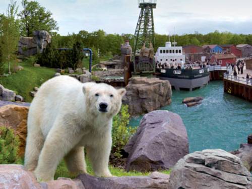 Eisbär vor der Yukon Bay Landschaft im Erlebnis-Zoo Hannover