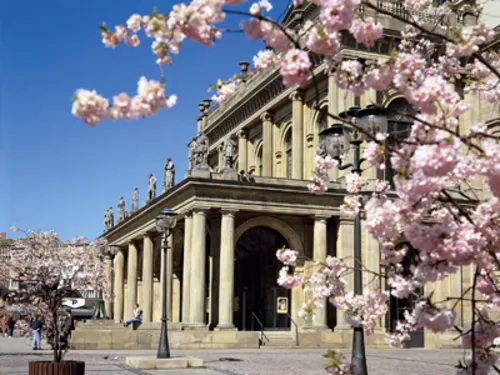 Un bâtiment imposant derrière des arbres à fleurs roses.