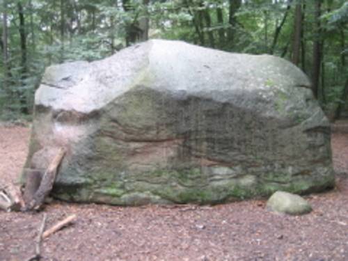 Ein massiver Stein liegt in einem Wald.