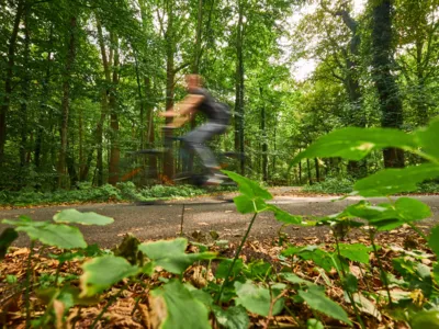 Radfahrer in der Eilenriede
