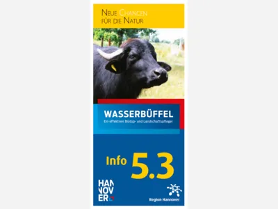 Titelbild