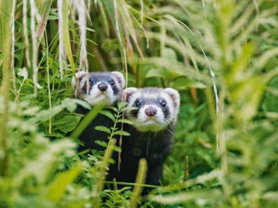 Een avontuur in de natuur in de vakantieregio Hannover