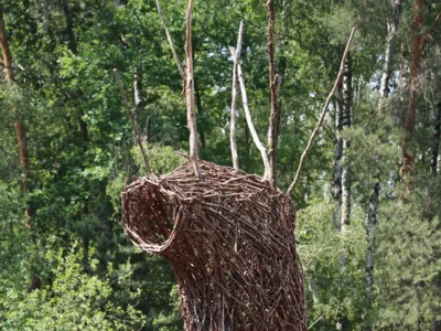 Kunst aus Astgeflecht