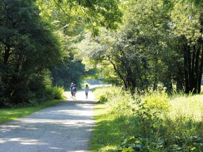 Drei junge Leute spazieren bzw. laufen duch den Hermann-Löns-Park